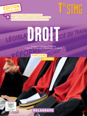 terminale STMG - Droit - ALBIN - 2024/2025